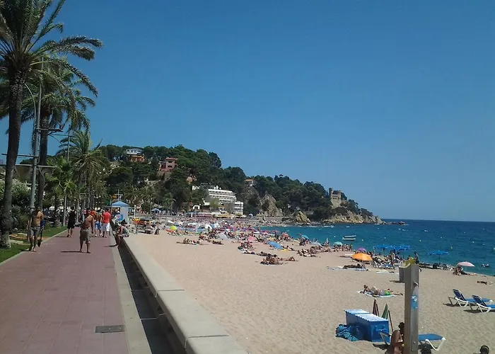 Linda Lloret